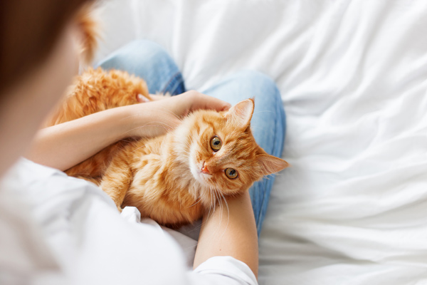 Vellore Woods Veterinary Clinic - Veterinarian in Vaughan, ON - Pet Dental Centre Vellore Woods Veterinary Clinic - Veterinarian in Vaughan, ON - Pet Dental Centre