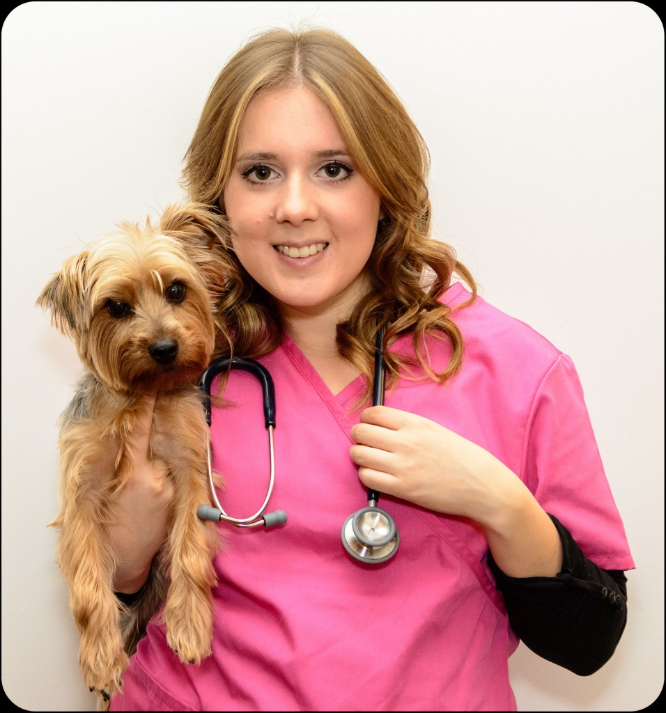 Vellore Woods Veterinary Clinic - Veterinarian in Vaughan, ON - Pet Dental Centre