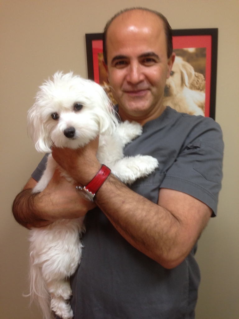 Vellore Woods Veterinary Clinic - Veterinarian in Vaughan, ON - Pet Dental Centre