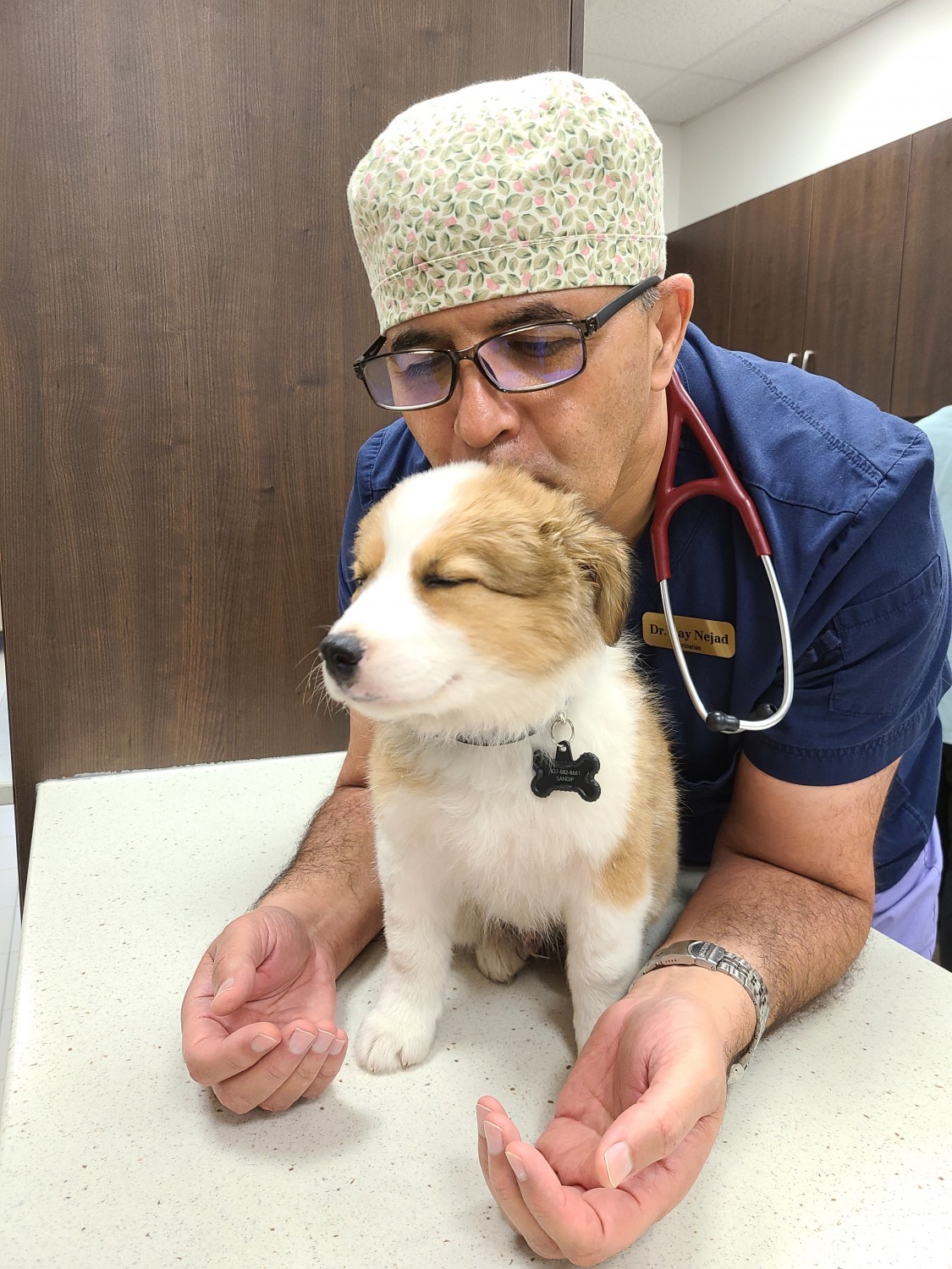 doctor with dog