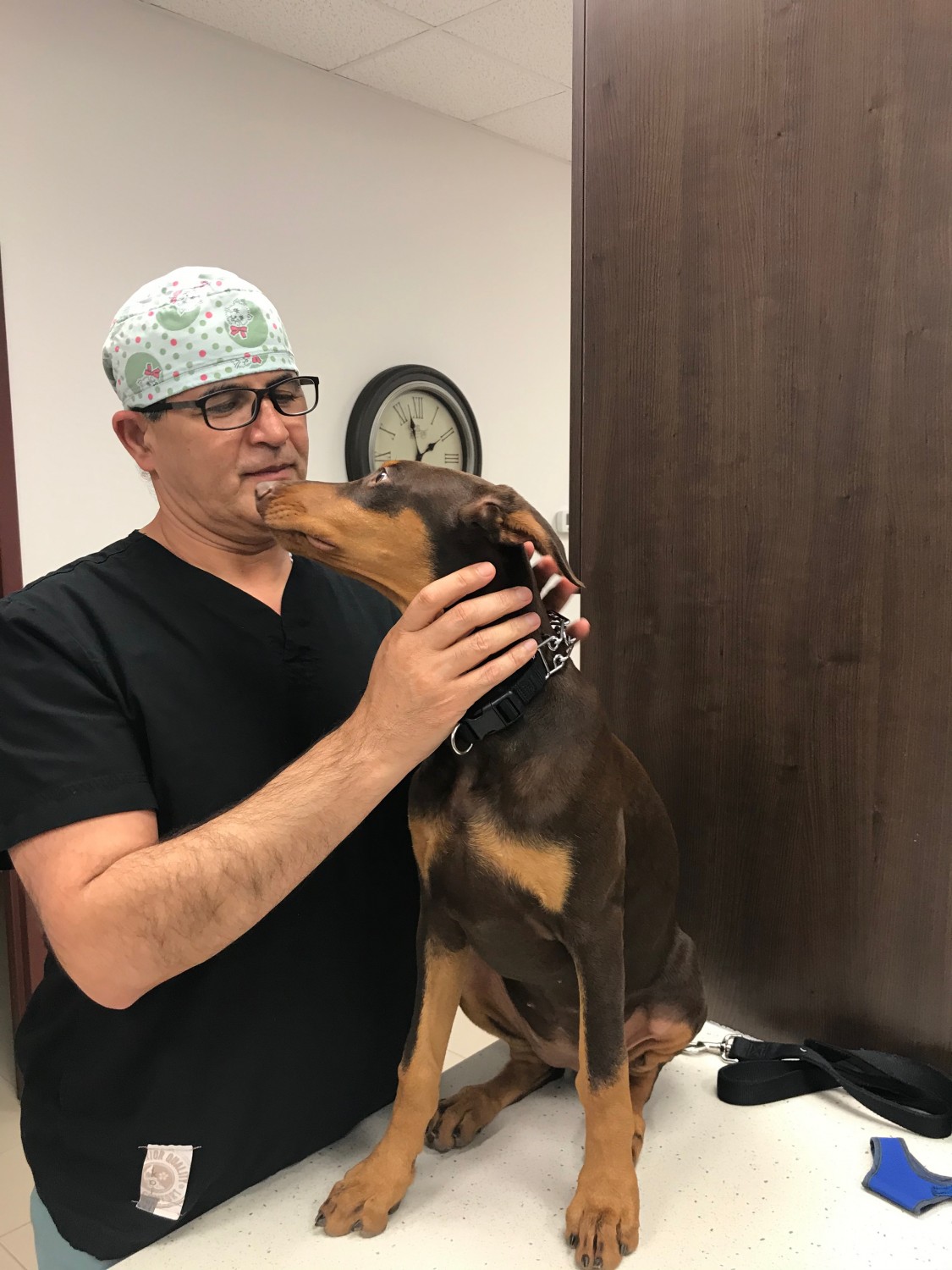 Dr. Ray Nejad - Vellore Woods Veterinary Clinic - Vaughan ON